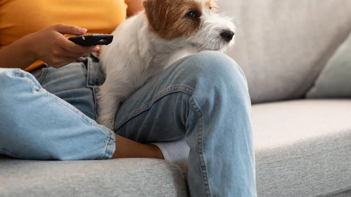 Estar sentado más de 10 horas al día puede aumentar el riesgo de enfermedades cardíacas