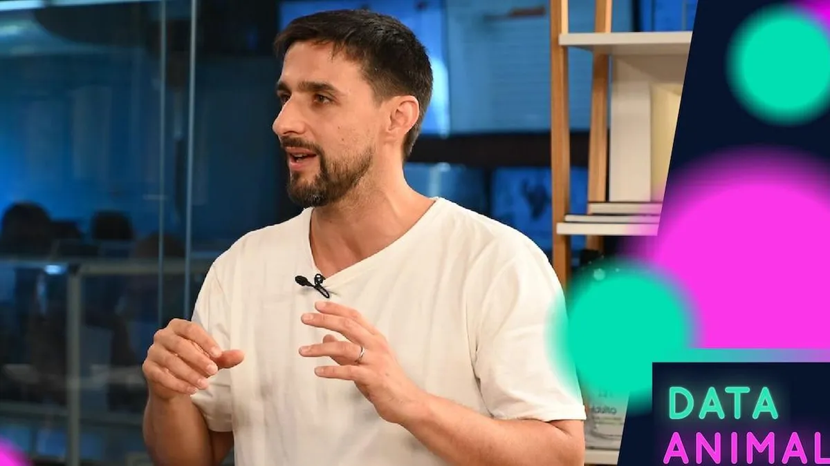 Consejos esenciales para unas vacaciones seguras y cómodas con tu perro