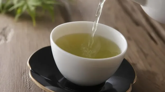 El té verde: aliado natural para combatir el sarro dental y cuidar tu sonrisa.