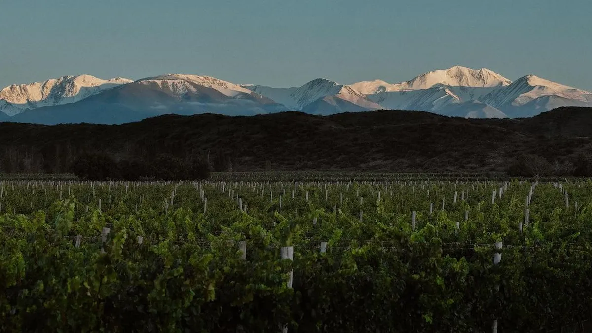 Seis bodegas argentinas destacan entre las 50 mejores del mundo en un ranking internacional.