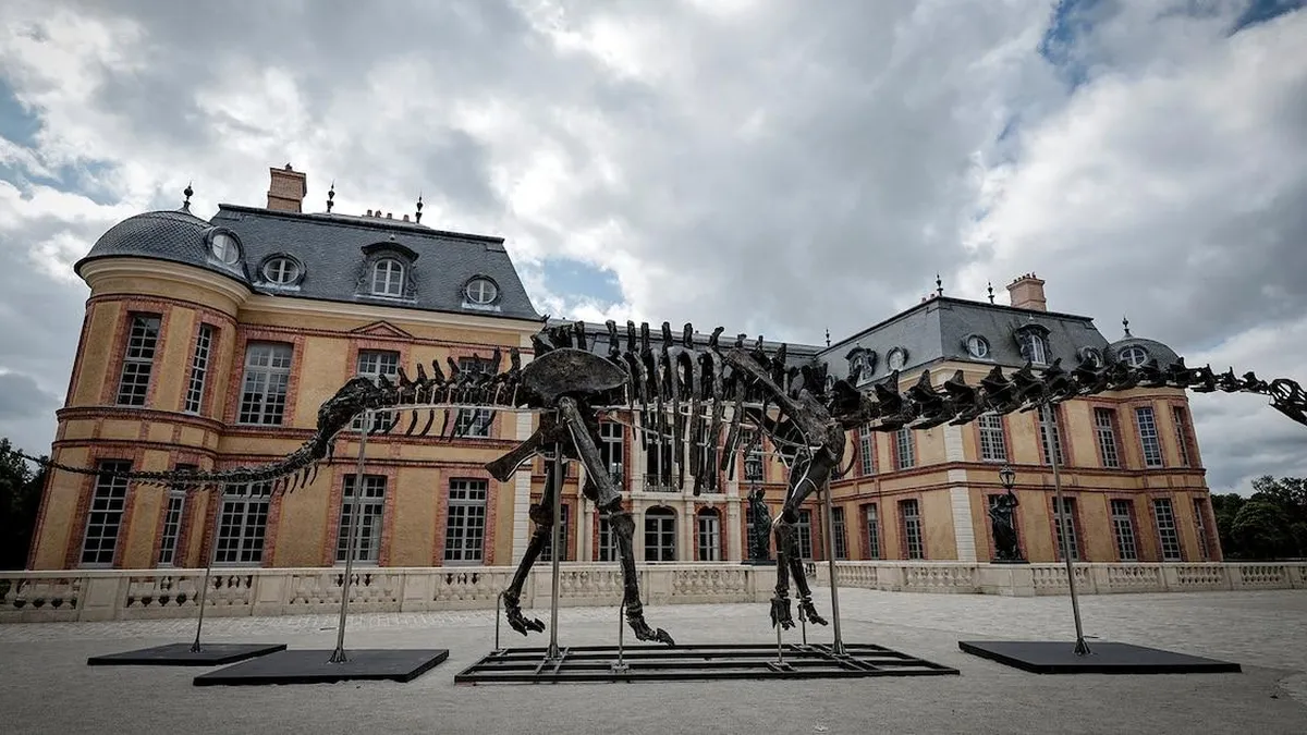 Subastan el esqueleto de dinosaurio más grande del mundo