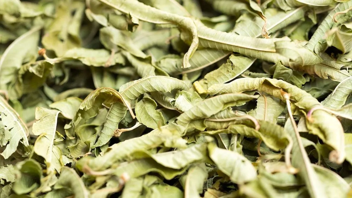 Descubre cómo la planta que alivia la inflamación combate el estrés.