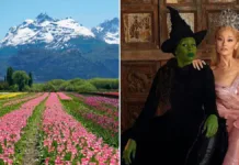 Descubre cómo 9 millones de tulipanes transformaron el mundo de Wicked.