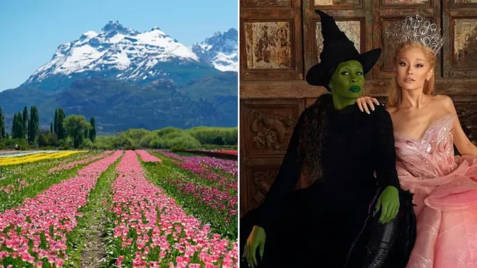 Descubre cómo 9 millones de tulipanes transformaron el mundo de Wicked.