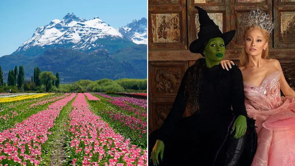 Descubre el sorprendente uso de nueve millones de tulipanes en Wicked
