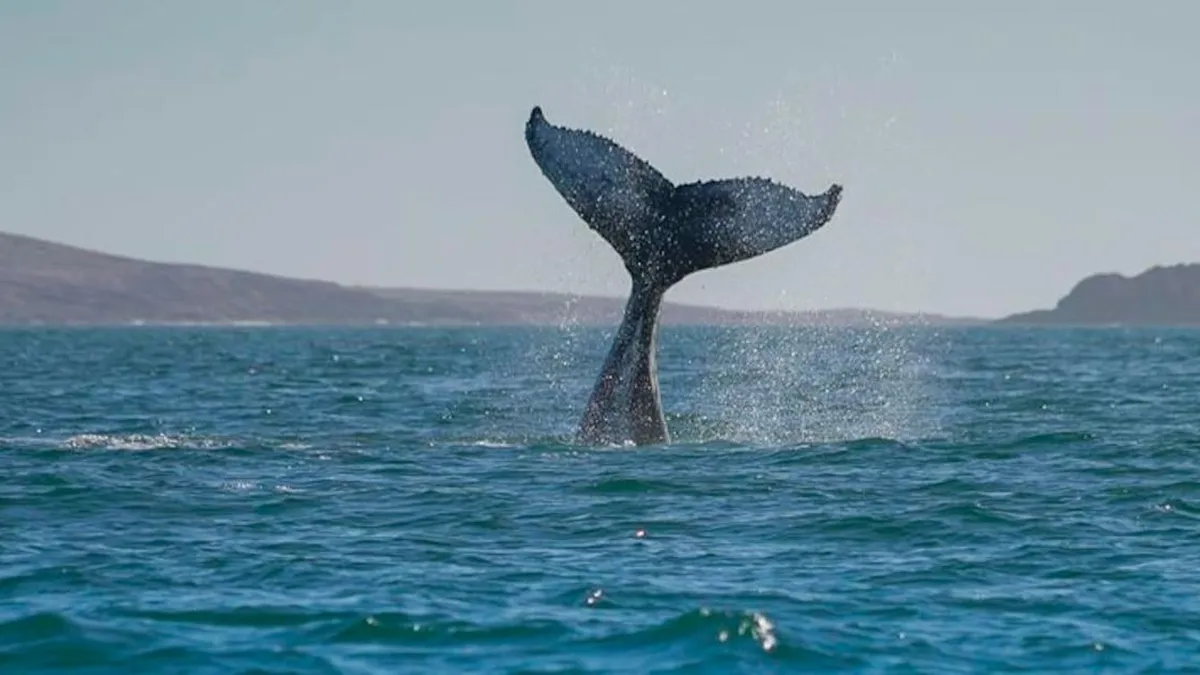 Descubre destinos únicos y sorprendentes para tu próxima aventura en 2025.