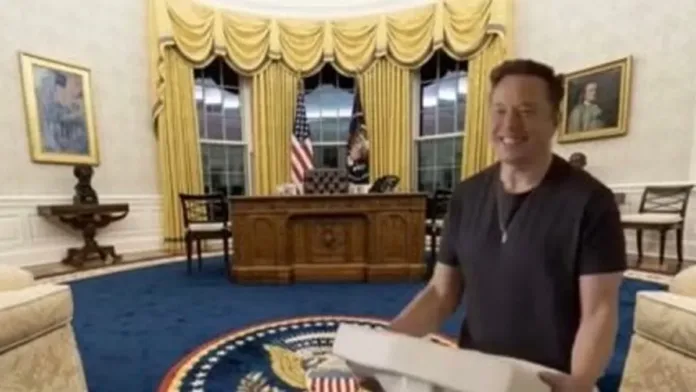 Elon Musk festeja la victoria de Trump con memes y promesas en redes sociales.