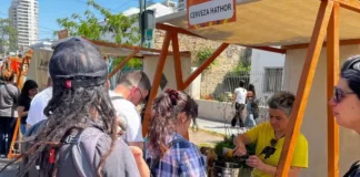 Descubre la Feria Cervecera BIER FEM en Barrio Italia: ¡una celebración de la buena vida!