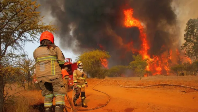 Alerta Roja en Lampa: incendio forestal pone en riesgo viviendas cercanas.