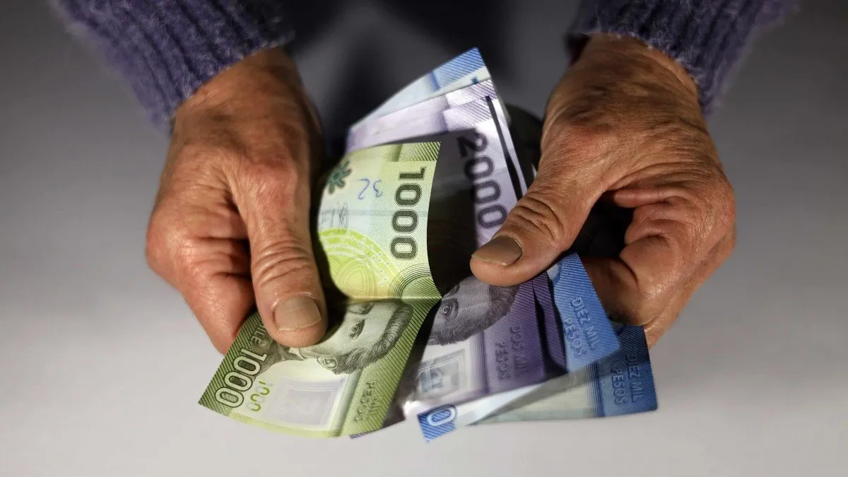 Beneficios económicos para cesantes en noviembre: lo que necesitas saber