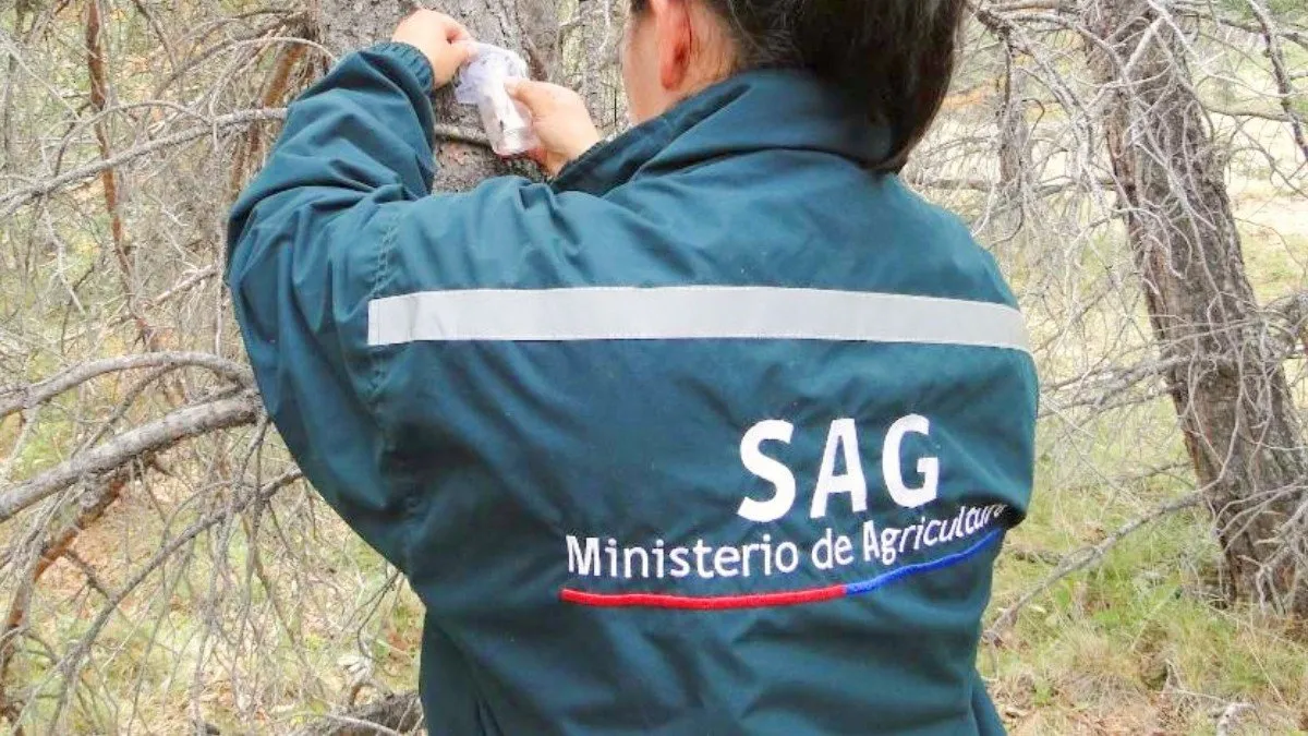 La periodista del SAG defiende su salario: méritos