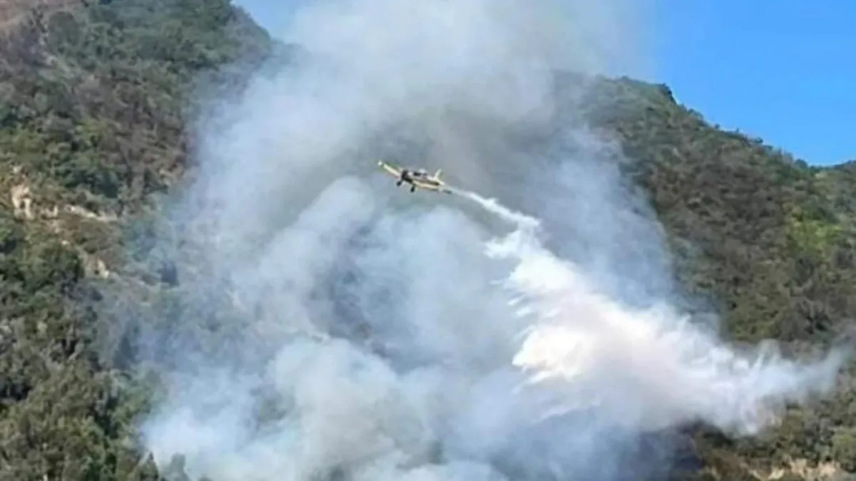 Incendio forestal en Valparaíso: 1 vivienda destruida y alerta roja activada.