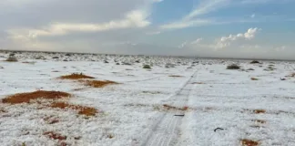 Nieve en Arabia Saudita: un fenómeno sorprendente que plantea inquietudes climáticas.