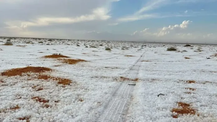 Nieve en Arabia Saudita: un fenómeno sorprendente que plantea inquietudes climáticas.