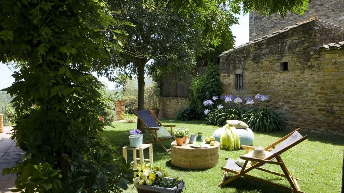 ¿Qué árboles podrían dañar tu jardín con sus raíces agresivas?