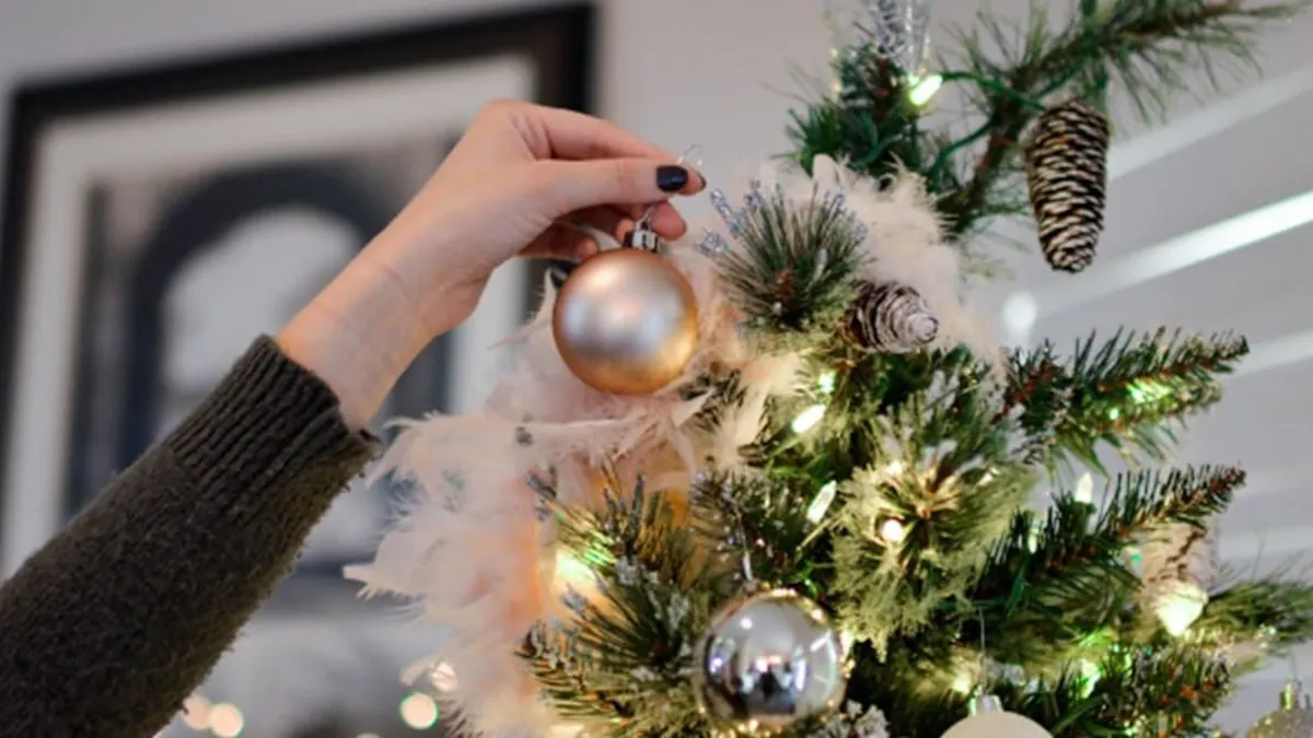 Aguinaldo navideño 2024: fechas y montos que recibirán pensionados y empleados públicos