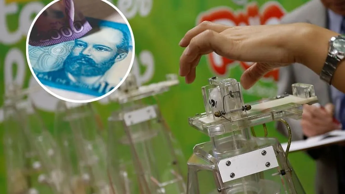 Finalizan los sorteos de “La Suerte de Ser Chileno 2024”: ¿qué premios se entregaron?