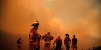 Conaf alerta: 24% más incendios este año por falta de conciencia ciudadana.