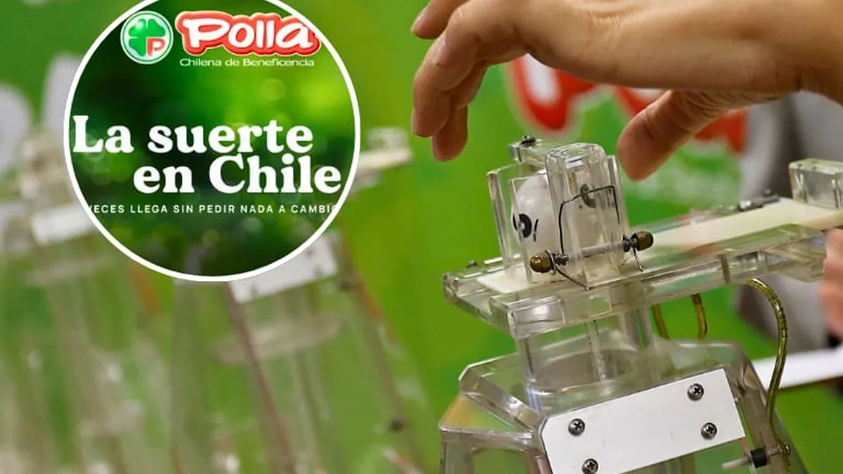 Descubre a los afortunados ganadores del séptimo sorteo de $3.000.000 en Chile.