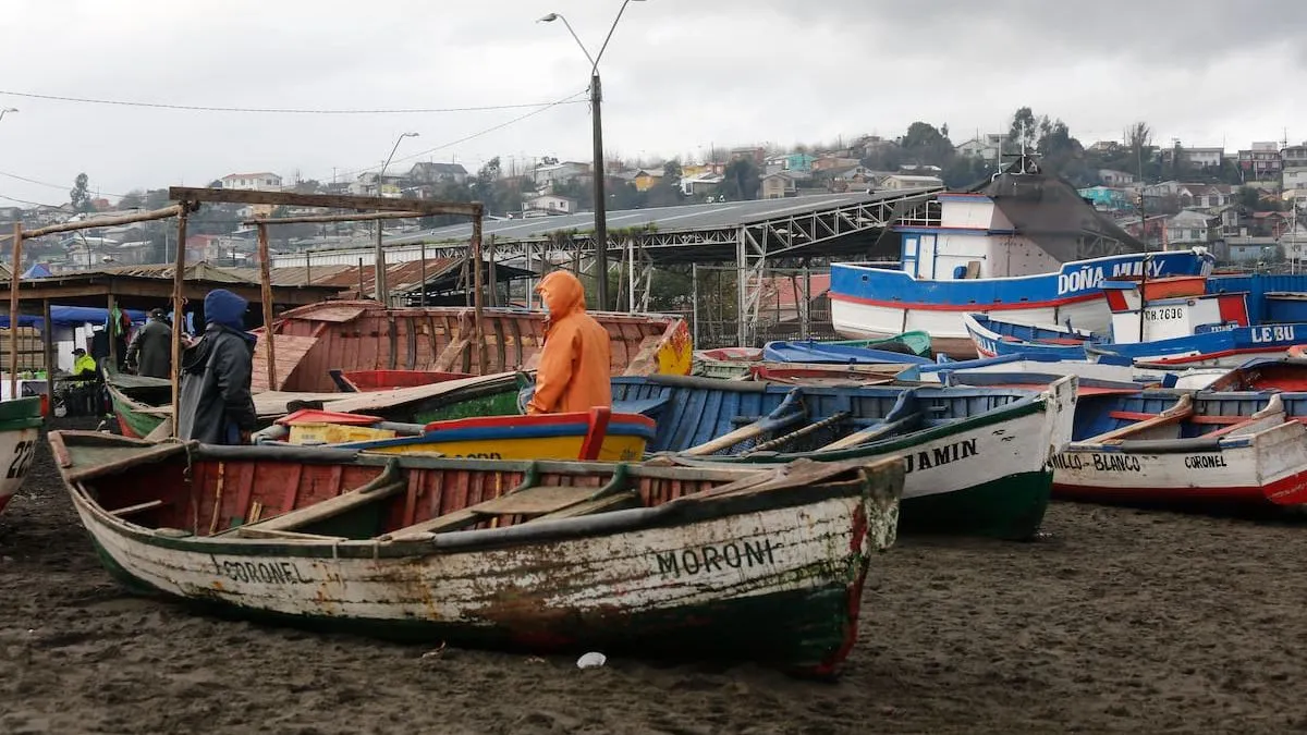 FACh se une a la búsqueda de cinco pescadores desaparecidos en Los Ríos.