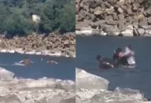 Carabineros salvan a niña de 12 años en el río Cautín durante la Navidad.