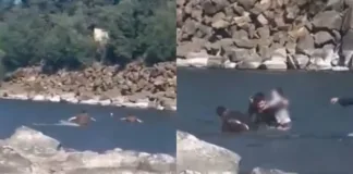 Carabineros salvan a niña de 12 años en el río Cautín durante la Navidad.