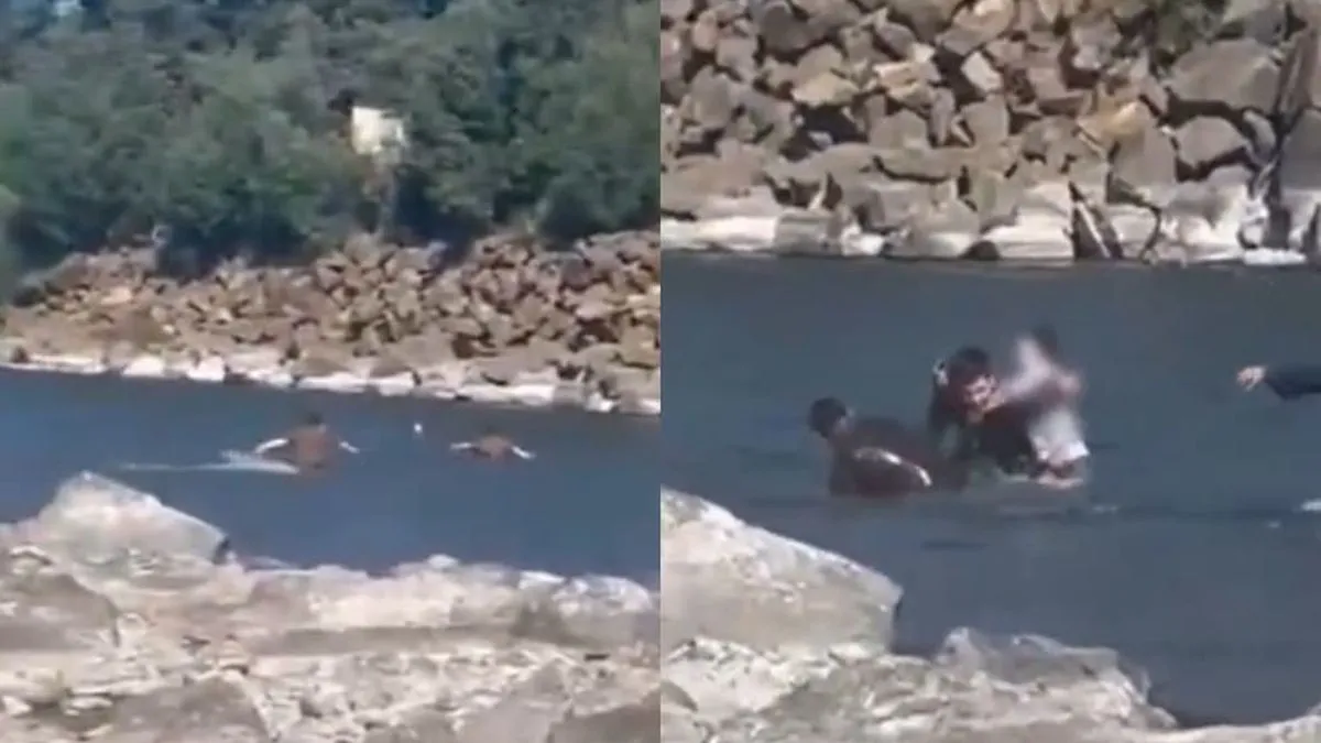 Carabineros salvan a niña de 12 años en el río Cautín durante la Navidad.