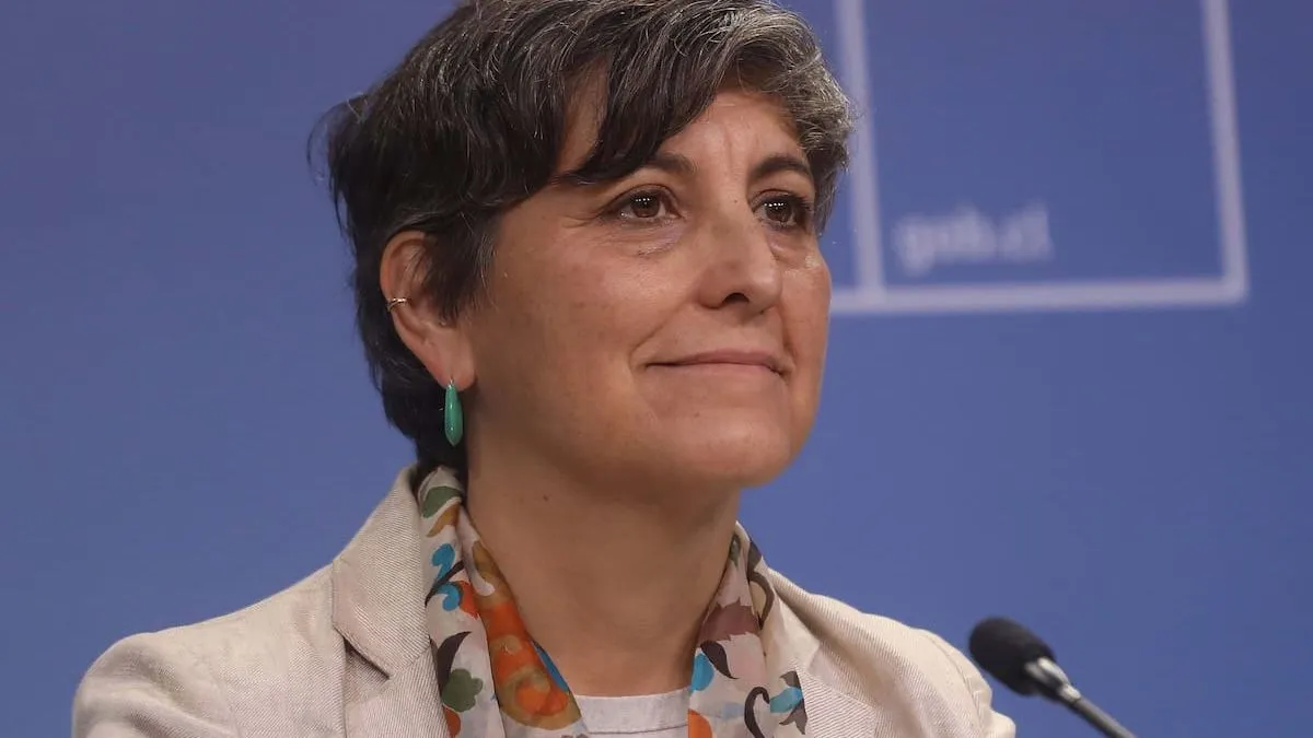 Interpelación a ministra de Salud: ¿qué hay detrás de la crisis hospitalaria en Chile?