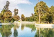 El parque de Santiago: un santuario de naturaleza con árboles ancestrales.