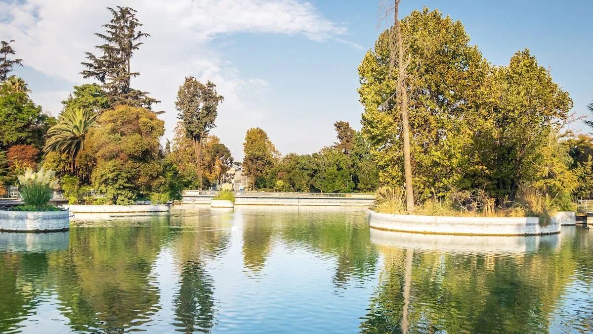 El parque de Santiago: un santuario de naturaleza con árboles ancestrales.