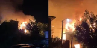 Tragedia en Lota: adulto mayor pierde la vida en incendio de su hogar.