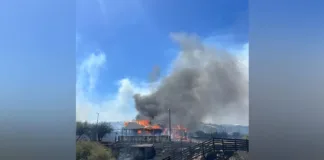 Incendio en Litueche y Las Cabras: 500 hectáreas arrasadas y seis viviendas afectadas.