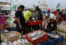 Brasil alcanza su menor tasa de cesantía en más de una década.