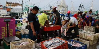 Brasil alcanza su menor tasa de cesantía en más de una década.