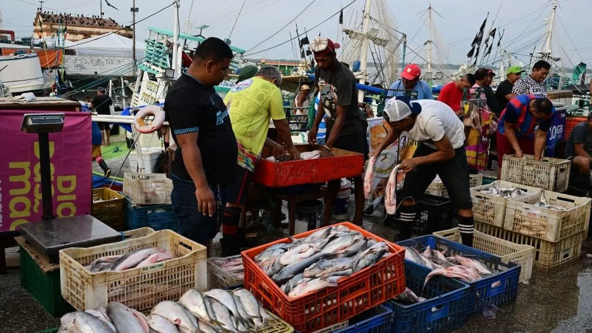 Brasil alcanza cifras históricas de desempleo: ¿qué significa para el futuro laboral del país?