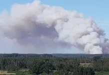 Alerta roja en Los Álamos: evacuan sector por incendio forestal.