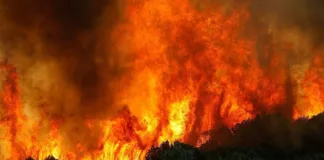 Descubre la vulnerabilidad de tu barrio a incendios forestales este verano.