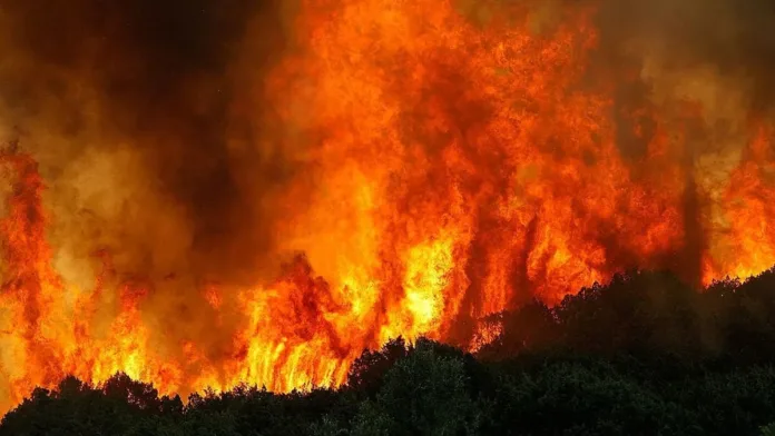 Descubre la vulnerabilidad de tu barrio a incendios forestales este verano.