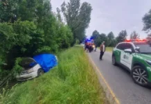 Trágico accidente: adulto mayor fallece tras choque con árbol en ruta Los Lagos-Panguipulli.