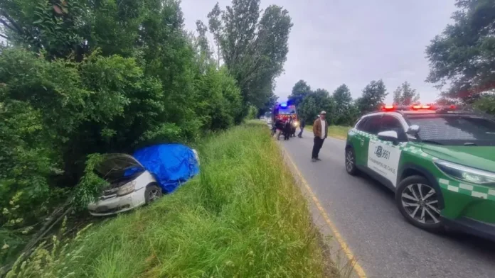 Trágico accidente: adulto mayor fallece tras choque con árbol en ruta Los Lagos-Panguipulli.