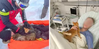 Un gato heroico salva a un hombre atrapado en una tormenta en Ucrania.