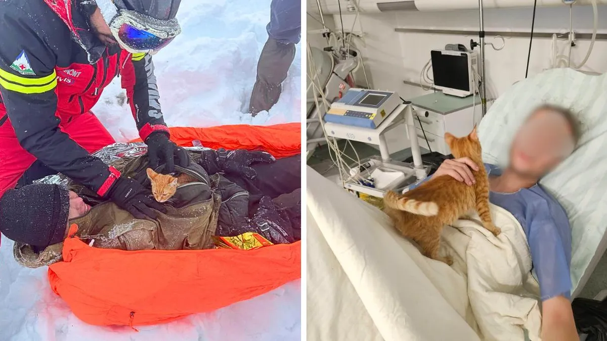 El conmovedor rescate de un hombre y su gato en medio de la tormenta de nieve