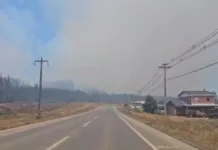 Alerta Temprana Preventiva en Bío Bío por riesgo de incendios forestales.