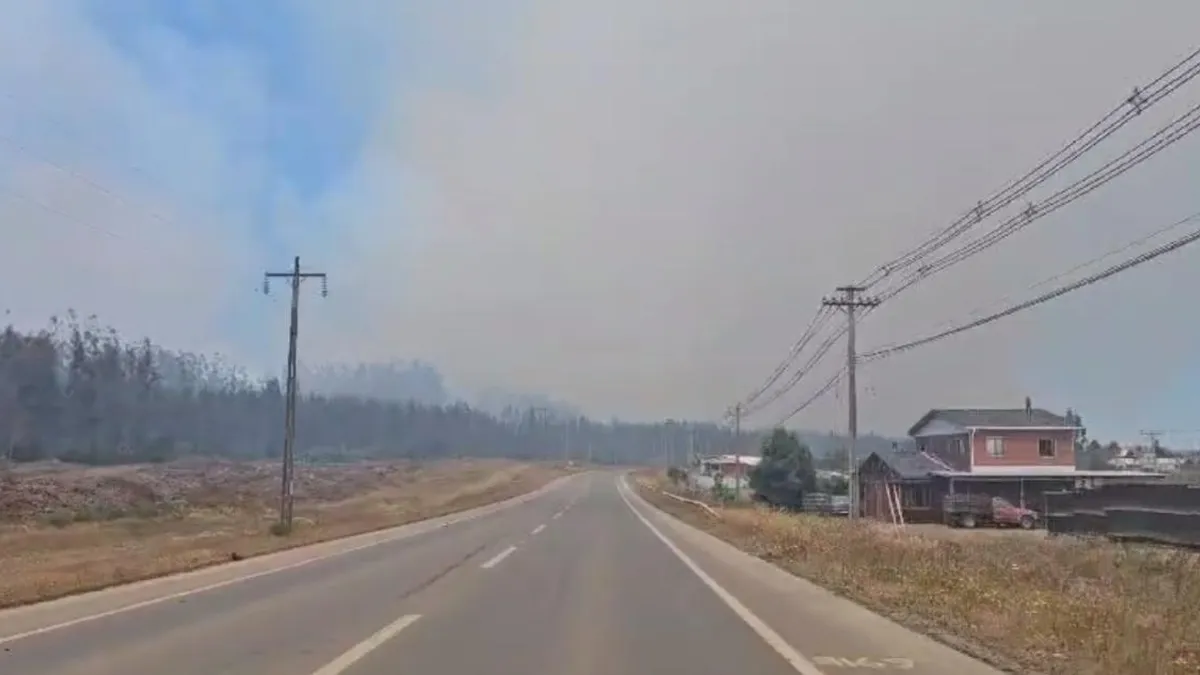 Alerta Temprana Preventiva en Bío Bío por riesgo de incendios forestales.