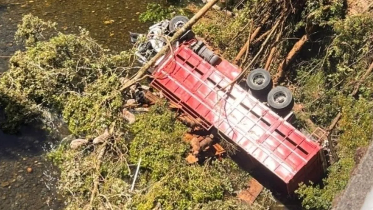 Camión con corderos cae al río en La Araucanía: tres personas atrapadas en el accidente