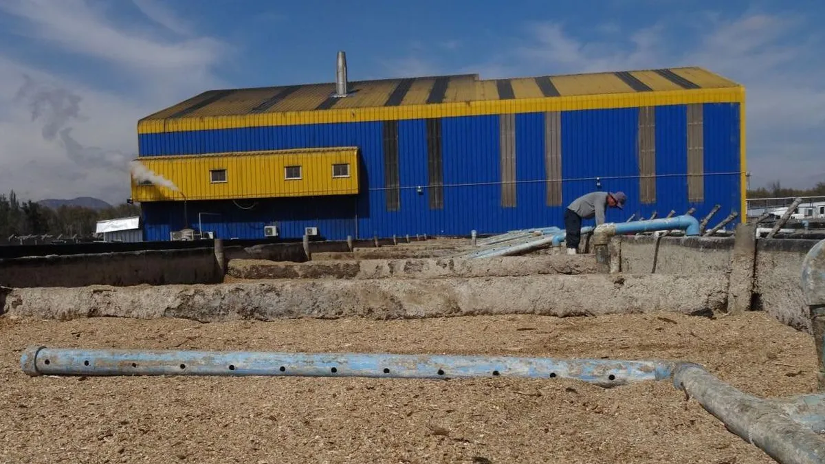 Sancionan a Don Pollo Ltda. con millonaria multa por graves incumplimientos ambientales