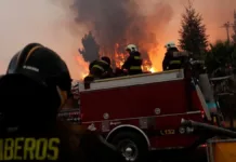 Alerta Roja en Lampa: incendio forestal arrasa más de 50 hectáreas.