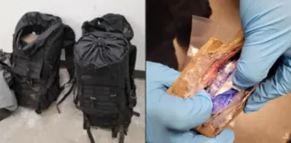 Cocaína oculta en mochilas: más de un millón de dólares en la frontera con Canadá.