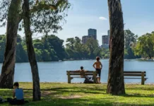 Verano 2023: lluvias menos intensas y más espaciadas