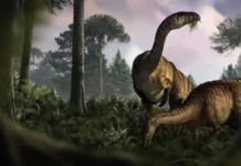 Restos fosilizados revelan secretos sobre el dominio de los dinosaurios en la Tierra.